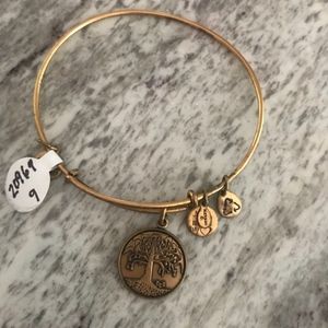 Alex and ani tree of life